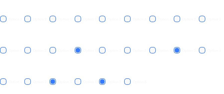 Custom Checkbox Group Horizontal